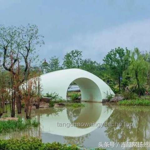 扬州清代文物合院618元起拍的深度市场与文物保护分析